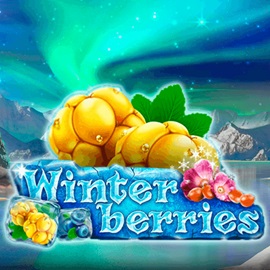 Winter Berries