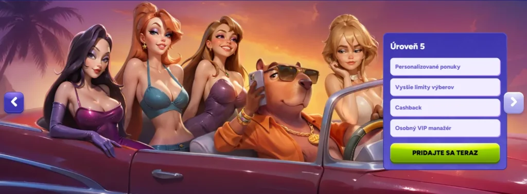Spinbara Casino VIP program