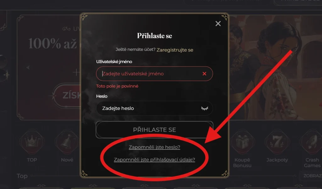 Casina Casino obnova hesla