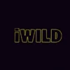 iWild Casino