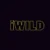 iWild Casino