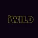 iWild Casino