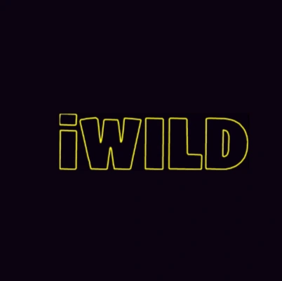 iWild Casino