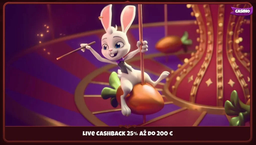 Magius Casino live kasíno cashback