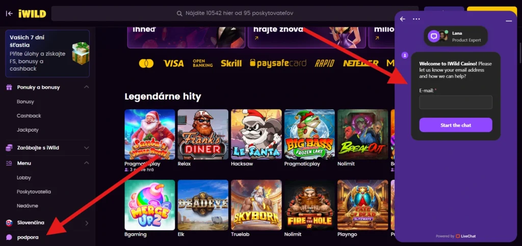 iWild Casino podpora