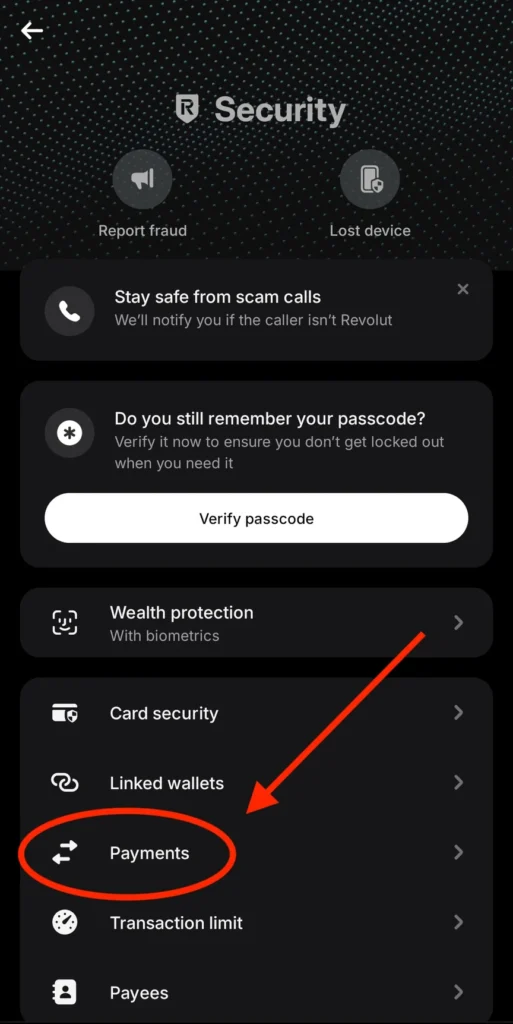 Revolut platby